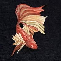 Hier geht es zu den Ausstellungsdetails